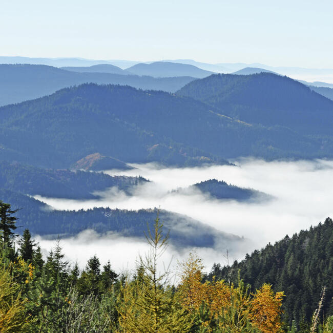 Blick über bewaldete Hügel, die zum Teil im Wolkennebel liegen. Foto: Winfried Rothermel
