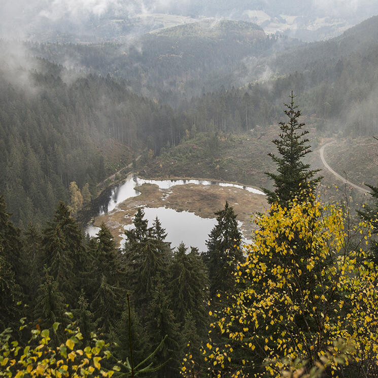 Ausblick von einem Aussichtspunkt hinunter auf den Huzenbacher See