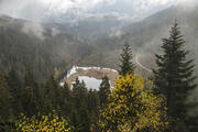 © Daniel Müller (Nationalpark Schwarzwald)