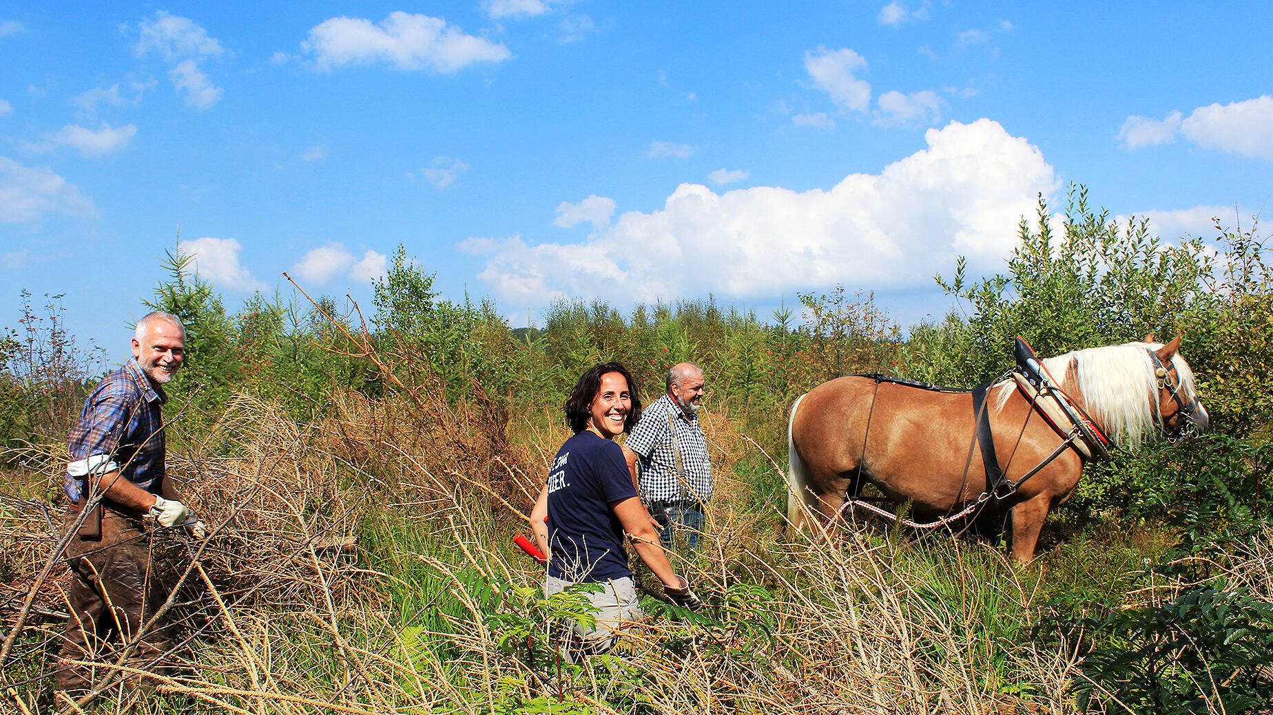 Freiwillige Helfer bei der Schliffkopfaktion