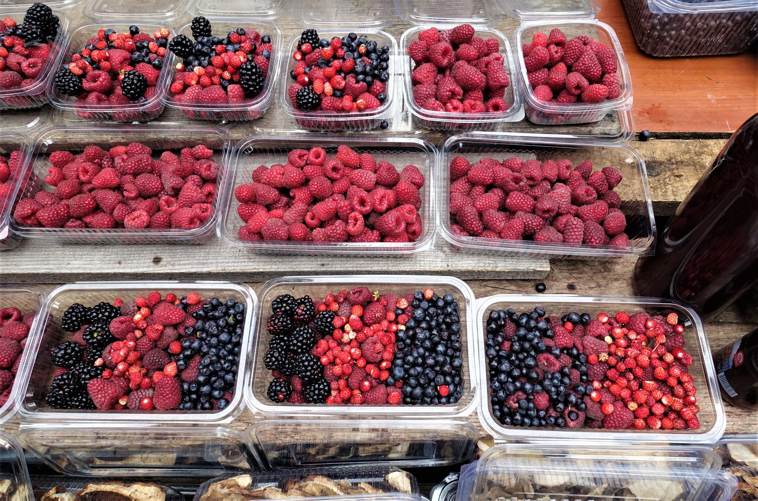 Kleine Schälchen mit Himbeeren und Brombeeren