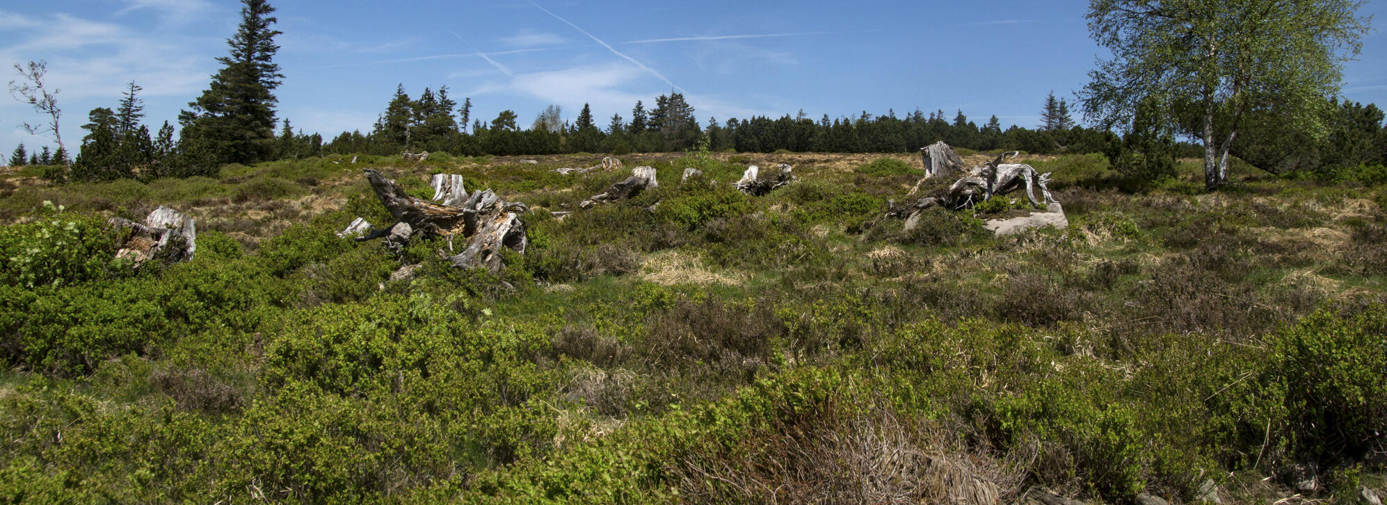 Schliffkopf (c) Daniel Müller