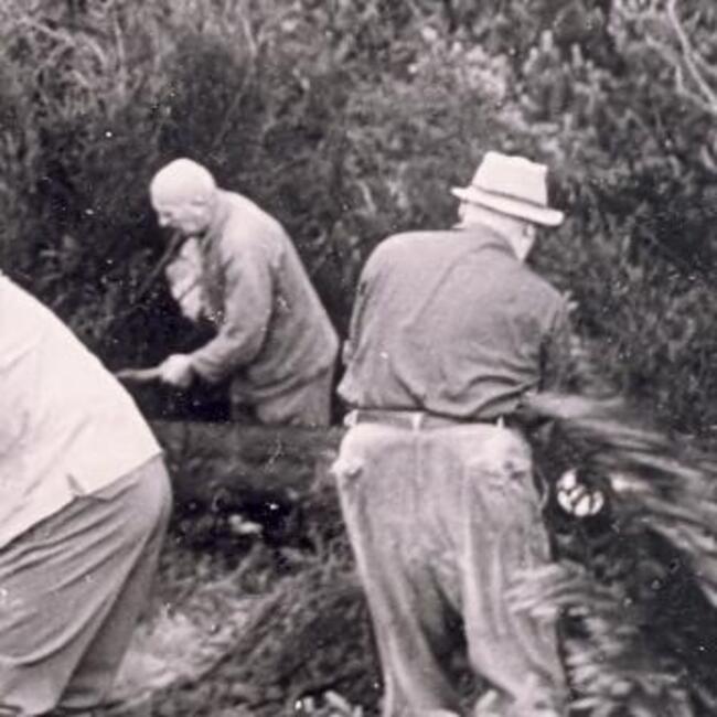 Historische Schwarz-Weiß-Aufnahme: Drei Männer pflegen mit Äxten und Scheren die Flächen und entfernen Äste und Bäume, um die Landschaft offen zu halten. Foto: Unbekannt
