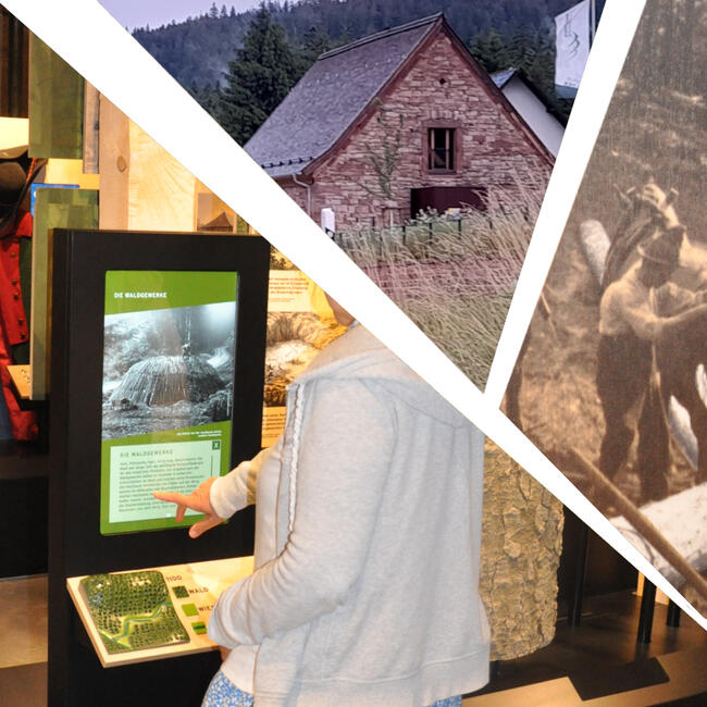 Collage aus drei Bildern: Haus, Bildschirm mit digitaler Anzeige, altes Bild von einem Holzhauer. Fotos: Iris Lemanczyk