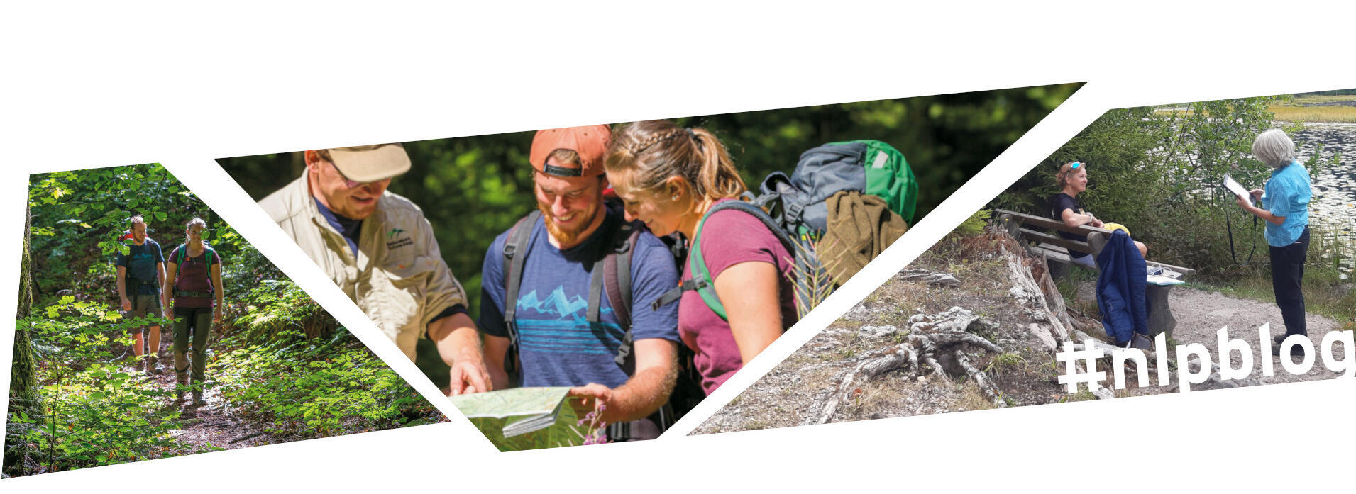 Eine Wanderin und ein Wanderer auf einem schmalen Pfad, Wanderne schauen mit Ranger in einer Wanderkarte, eine Frau wird von einer anderen Frau befragt