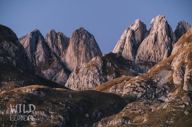 Gebirgszug im Nationalpark Durmitor. © blackforestcollective.com Gebirge im Abendlicht im Nationalpark Durmitor in Montenegro. © blackforestcollective.com