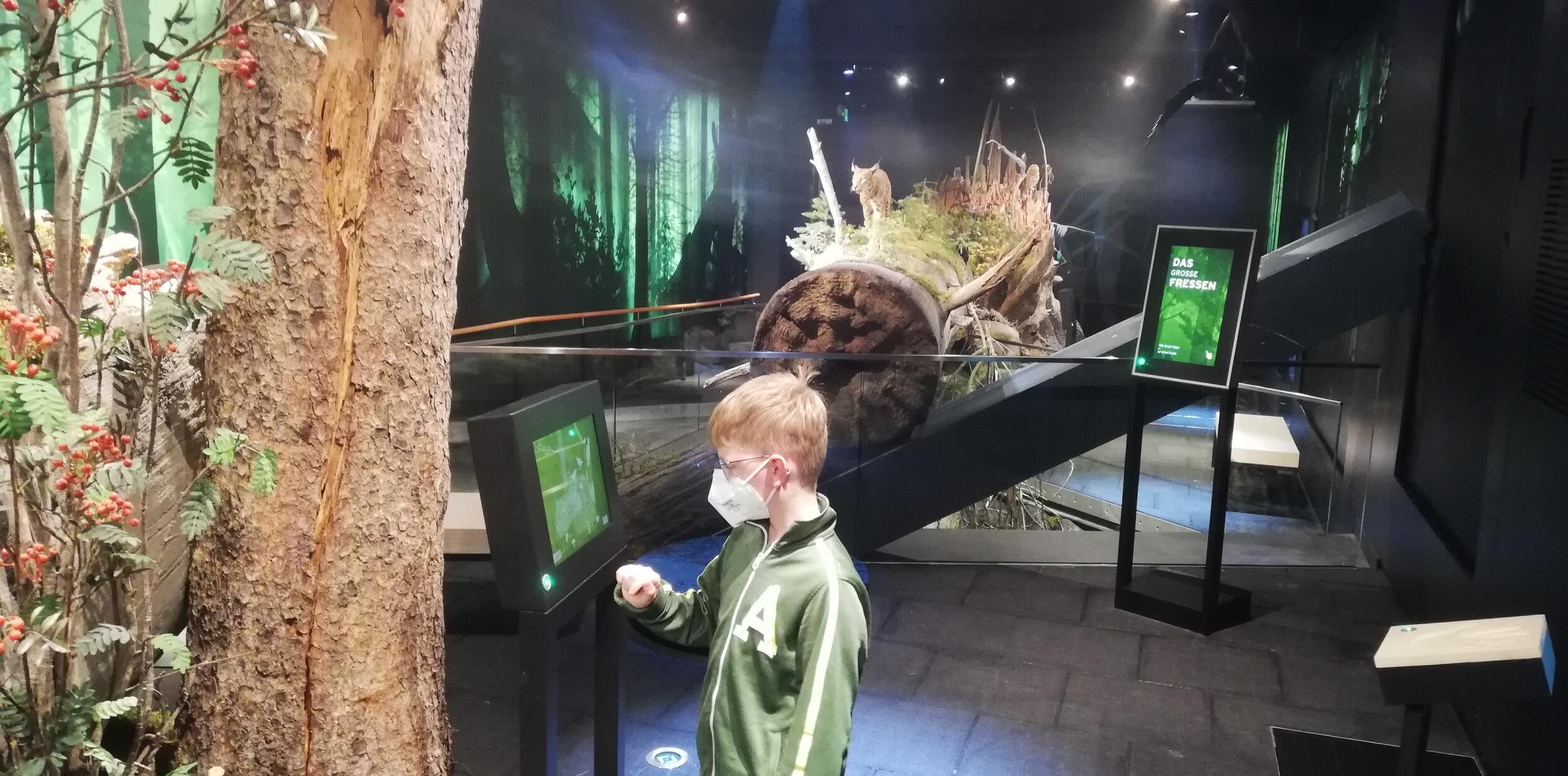 Grundschulkinder aus Seebach entdecken die Ausstellung im Nationalparkzentrum