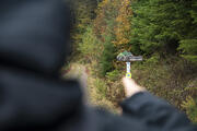 © Daniel Müller (Nationalpark Schwarzwald)