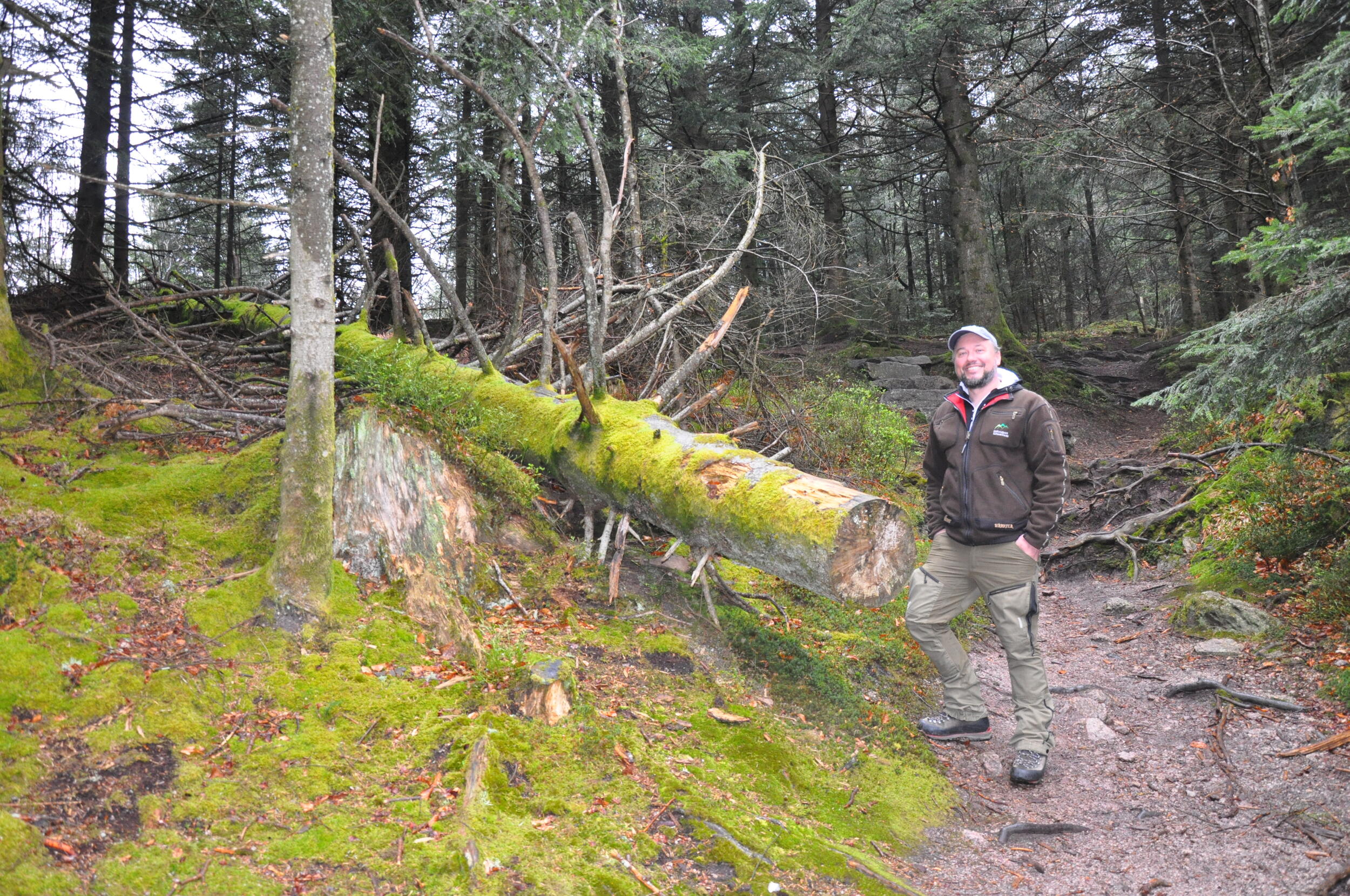 Ein Mann in Nationalpark-Kleidung steht auf einem Pfad im Wald