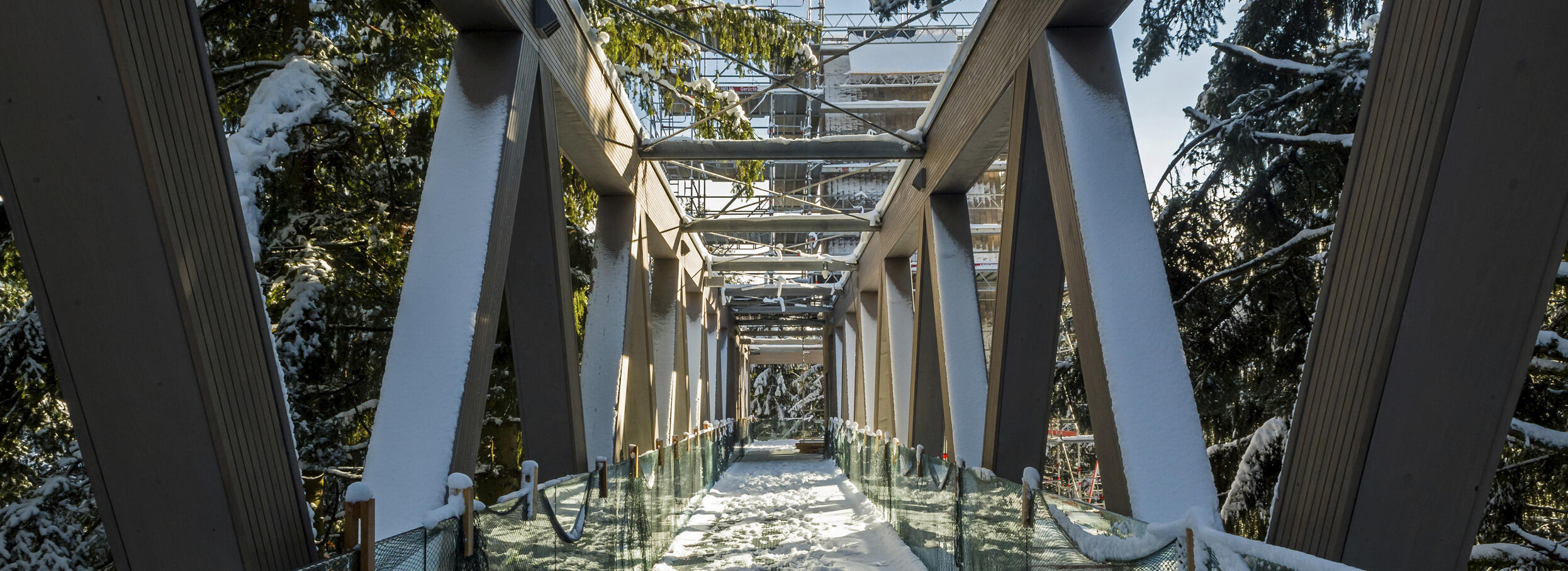Verschneite Aussichtsbrücke, von Bäumen umgeben. Foto: Luis Scheuermann