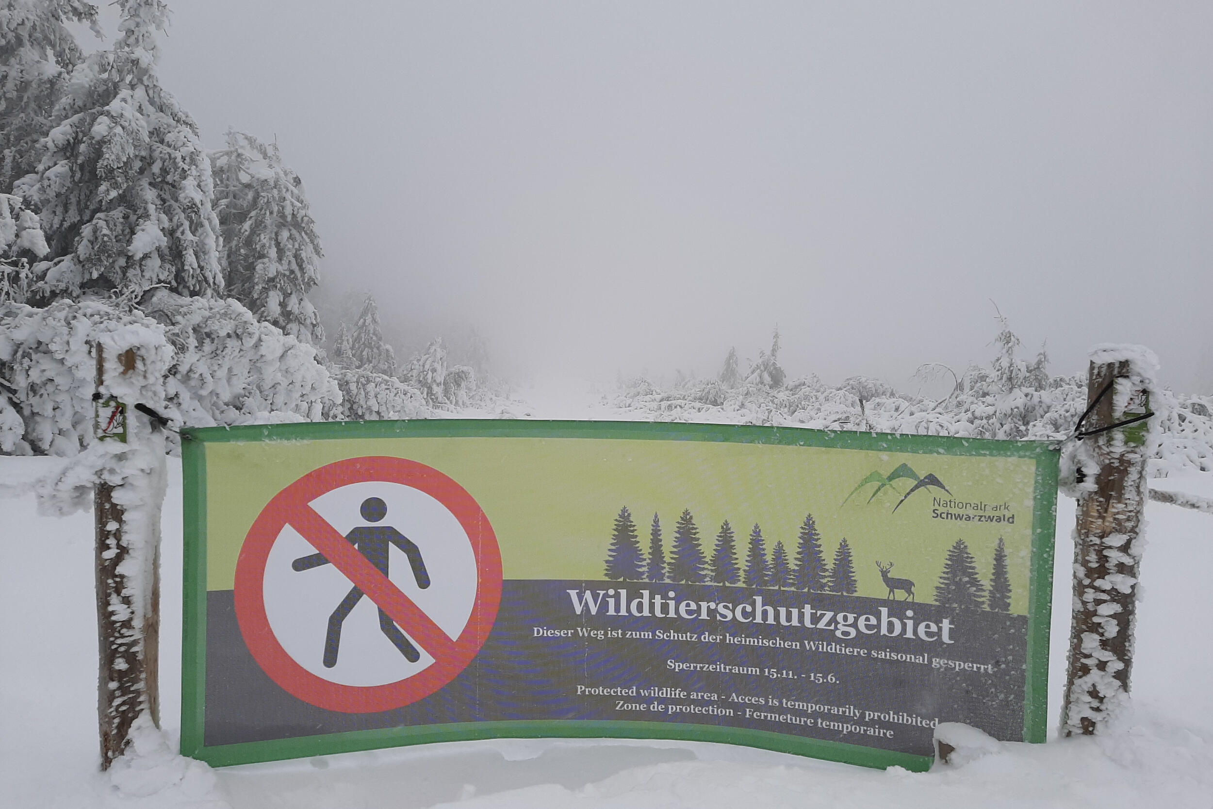 In einer tief verschneiten Landschaft hängt ein grün bedrucktes Banner mitten über einen Weg. Auf dem Banner ist ein Verbotssymbol mit einem Fußgänger abgedruckt und die Begründung, dass hier der Wildruhebereich beginnt und das Betreten verboten ist.