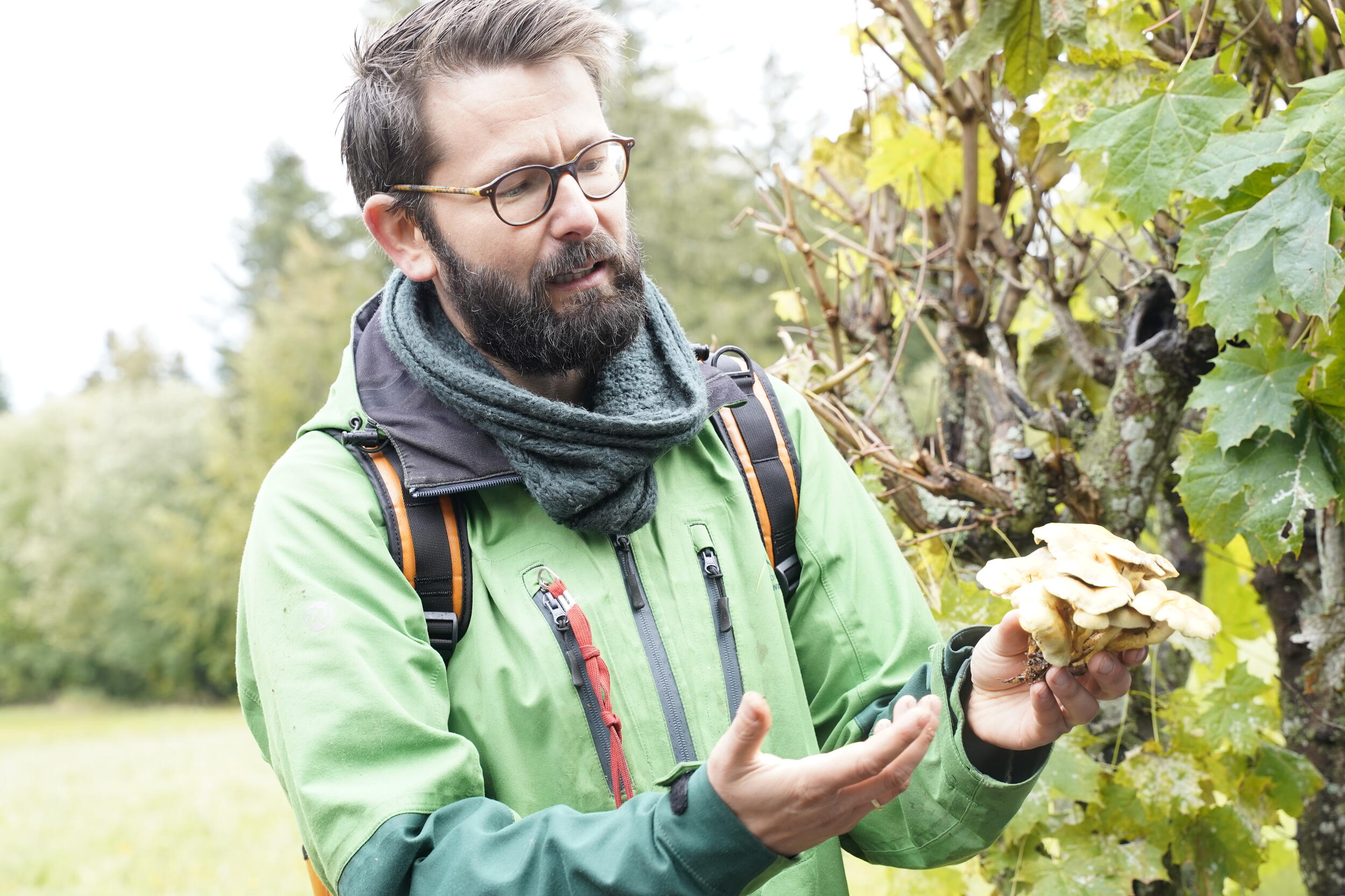 Ein Mann in einer grünen Nationalparkjacke hält einen Pilz in der Hand. @ Judith Wildt Bastos