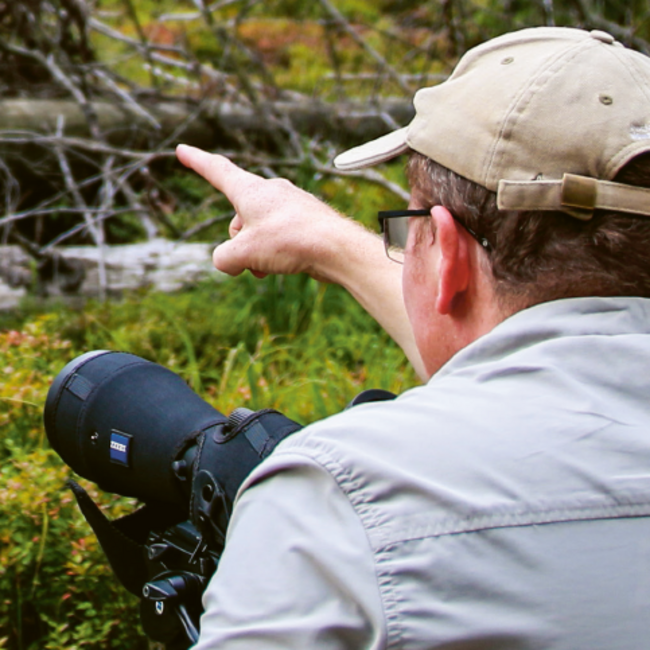 Nationalparkforscher mit einem Fernglas zeigt in den Wald