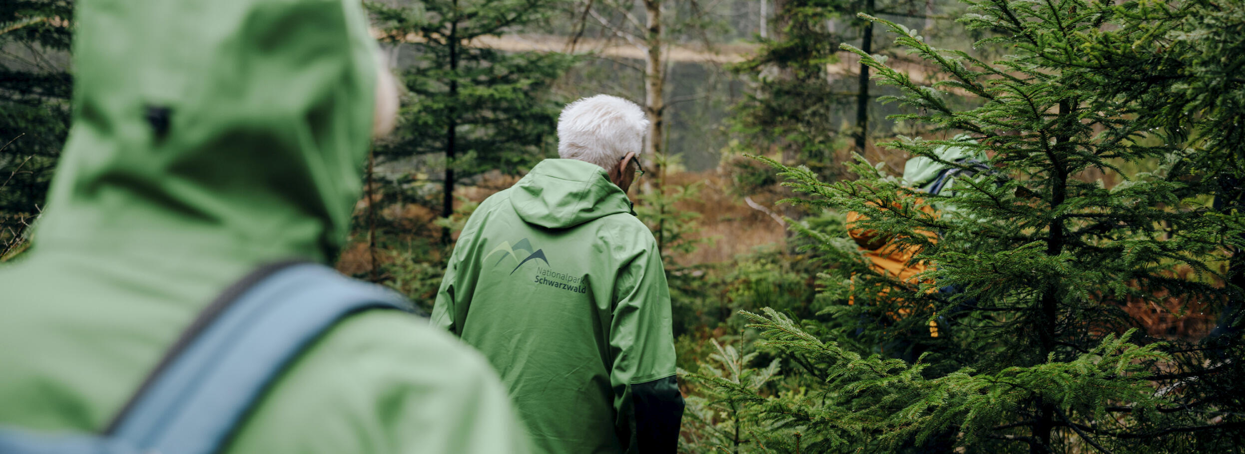 Zwei Menschen in grünen Jacken laufen durch einen nebligen Wald. Foto: Staatsministerium BW