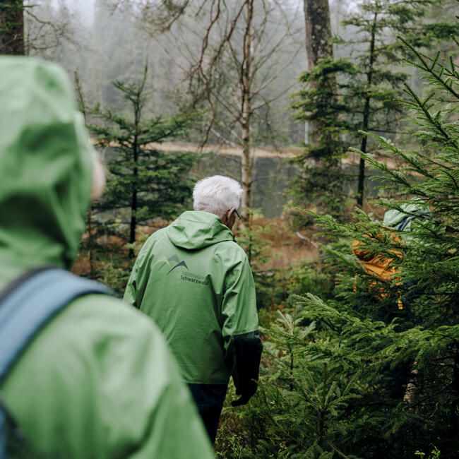Zwei Menschen in grünen Jacken laufen durch einen nebligen Wald. Foto: Staatsministerium BW