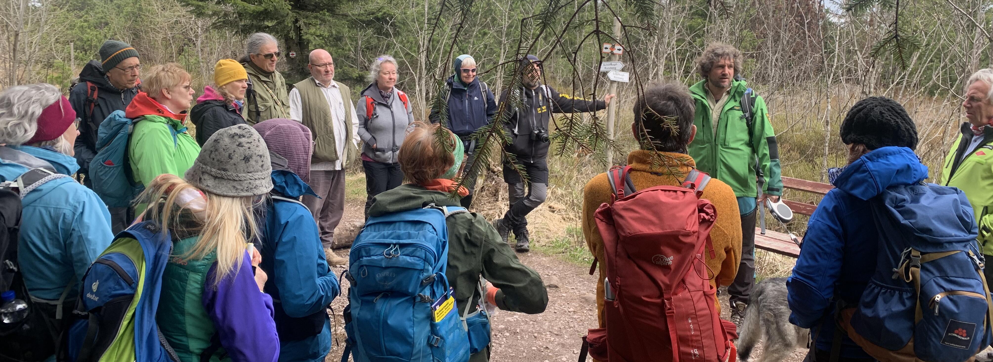 Blick auf eine Gruppen, die von einem Ranger eine Führung bekommt.