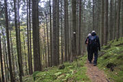 © Daniel Müller (Nationalpark Schwarzwald)