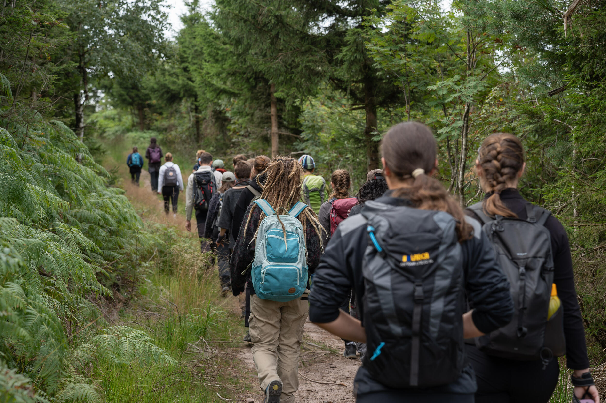 Eine Gruppe junger Menschen laufen durch den Wald. Foto: Vanessa Peter