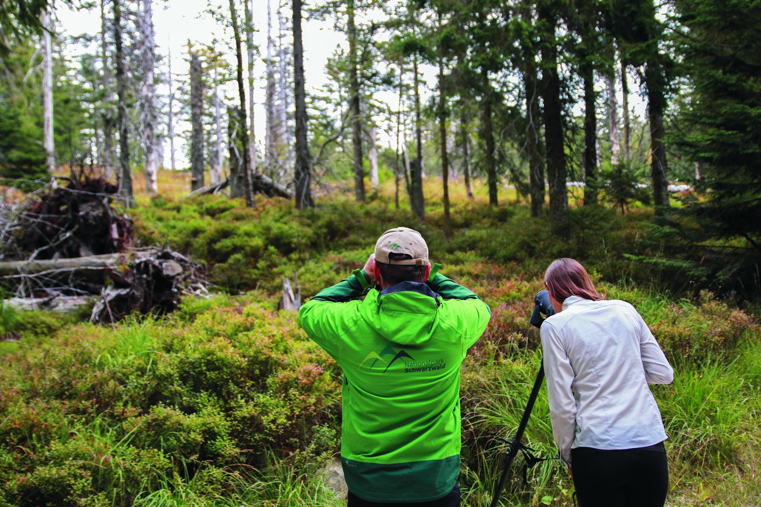 Beim Forschen © Daniel Müller (Nationalpark Schwarzwald) Ein Mann und eine Frau schauen durch Ferngläser