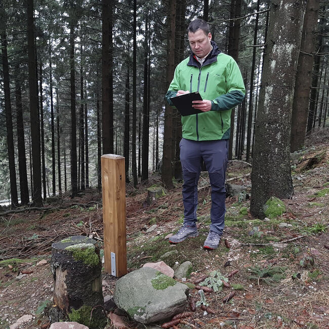 Ein Mann in grüner Jacke steht vor einem Holzpfosten im Wald und schaut auf ein Tablet in seiner Hand. Foto: Franziska Lemoine (Nationalpark Schwarzwald)