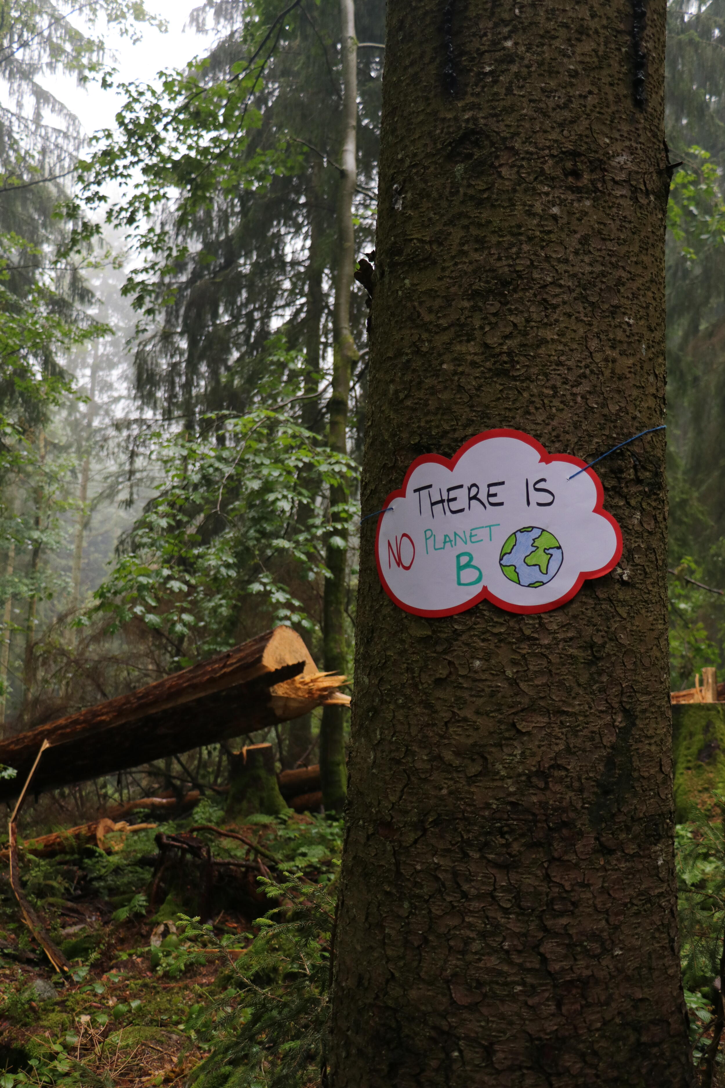 Ein Schild mit der Aufschrift "There is no planet b" hängt an einem Baum im Wald