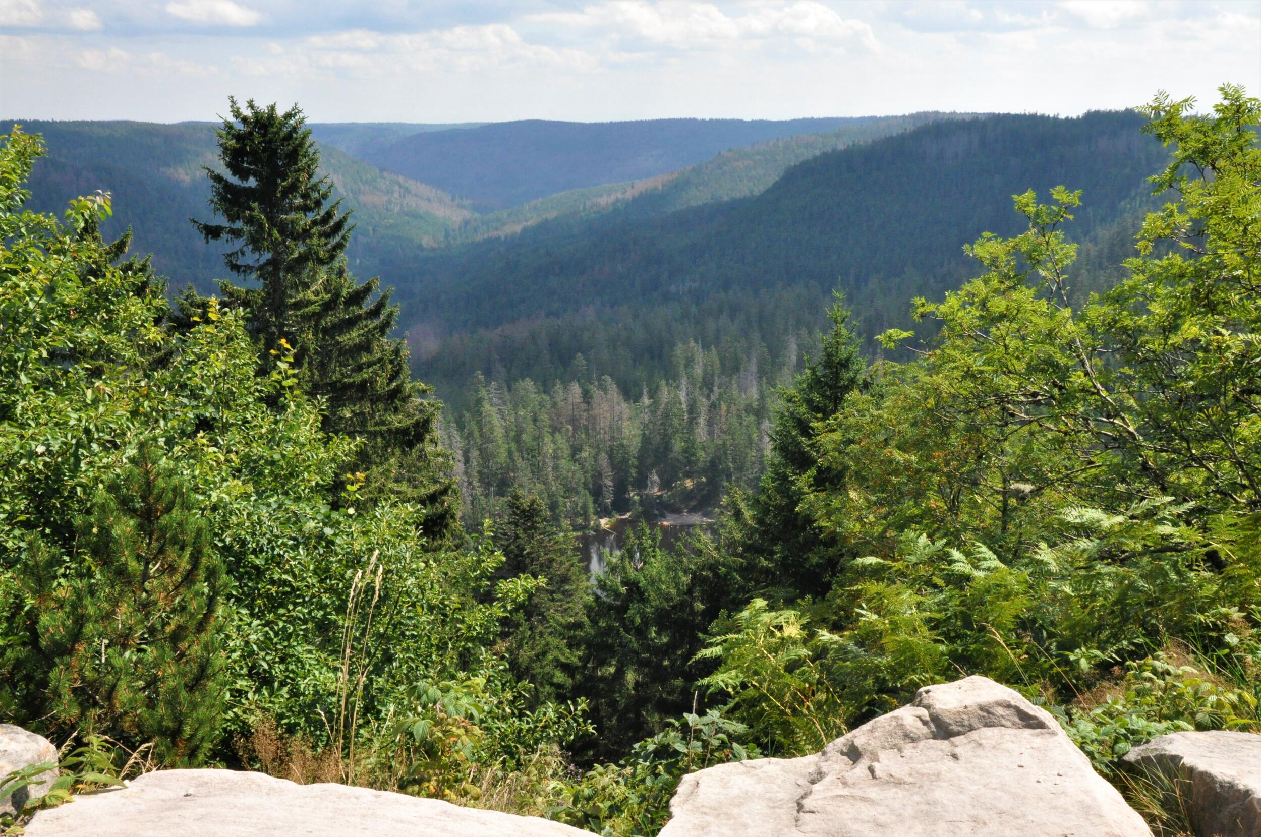 Ausblick auf waldbewachsene Hügellandschaft, um Vordergrund große Steine. Foto: Nina Blazon