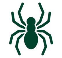Spinnen