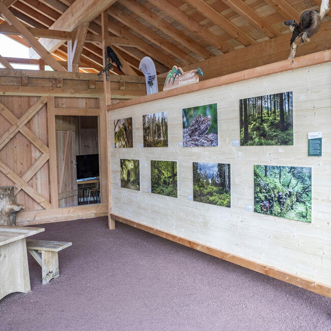 Eine Hütte aus Holz. Drin steht ein Tisch und zwei Bänke. In der Mitte steht eine Tafel mit mehreren Fotos zum Thema Wald. Foto: Daniel Müller
