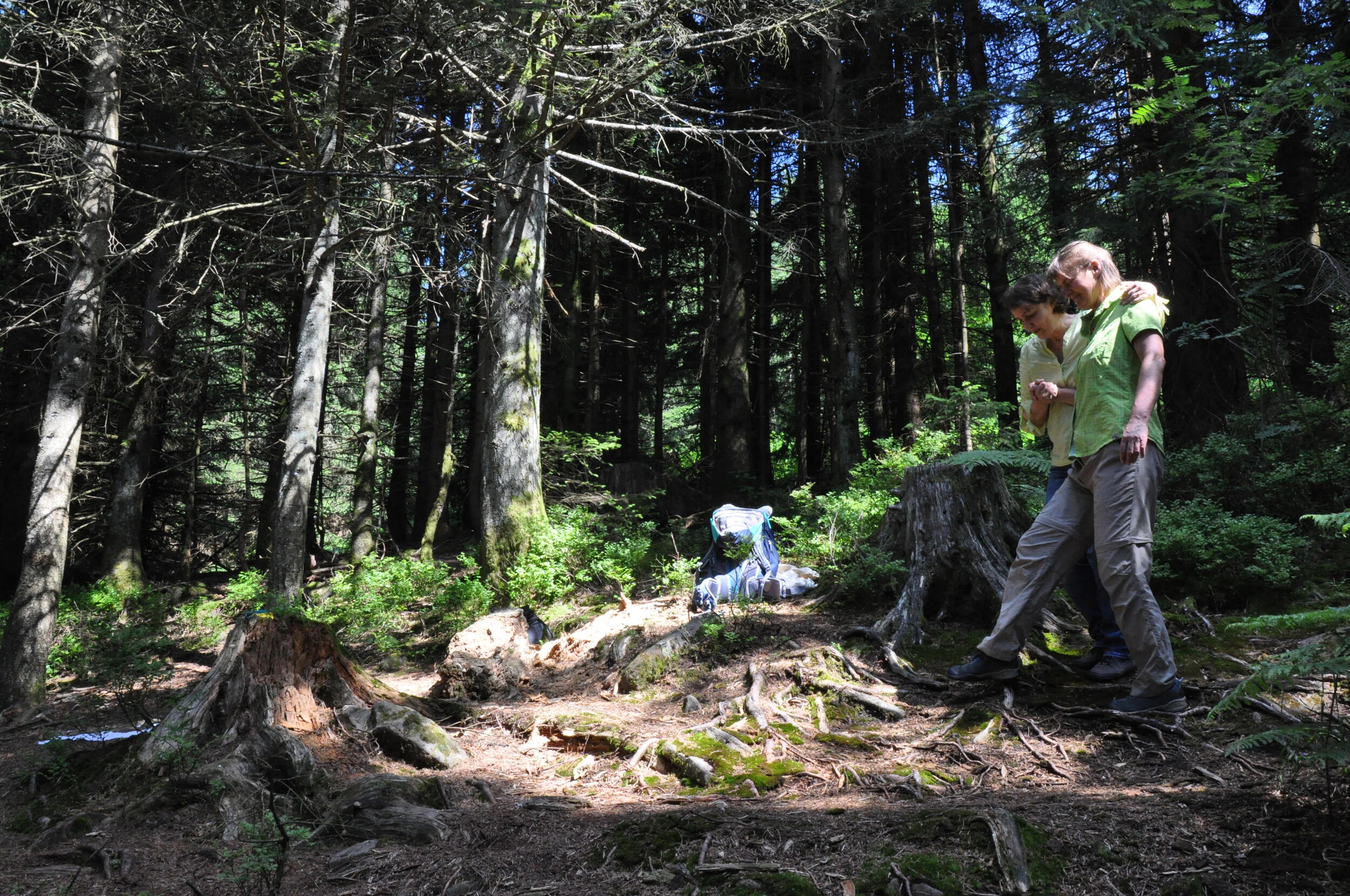 Blind durch den Wald geführt zu werden, erfordert viel Vertrauen. © Nina Blazon Zwei Frauen im Wald. Sie laufen über Baumwurzeln. Eine Frau läuft mit geschlossenen Augen und die andere Frau führt sie. Foto: Nina Blazon