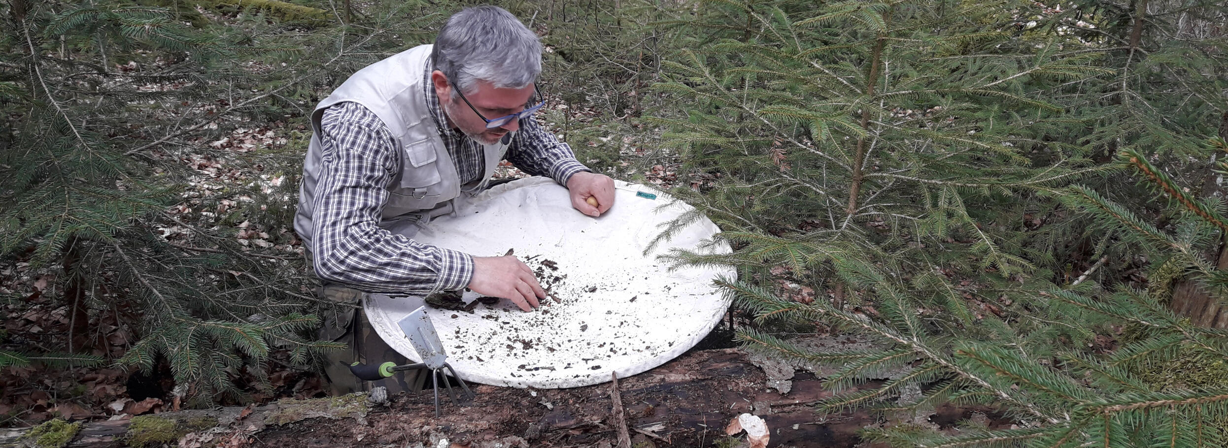 Ein Mann sitzt im Wald und schaut auf eine mit Stoff bespannte weiße Scheibe, auf der sehr kleine Dinge zu sehen sind. Foto: Flavius Popa