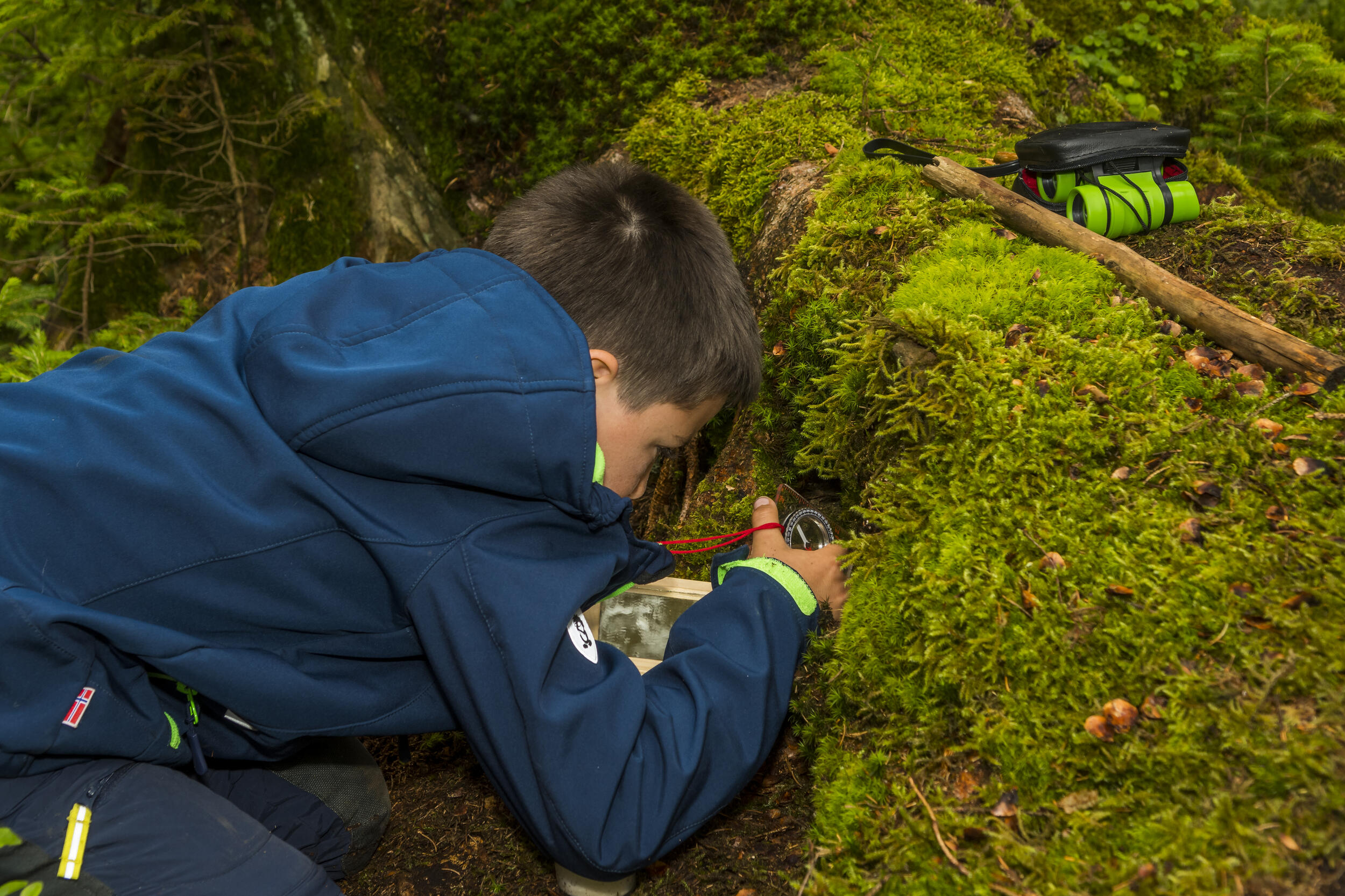 Junge untersucht Moos mit einer Lupe © Luis Scheuermann (Nationalpark Schwarzwald)