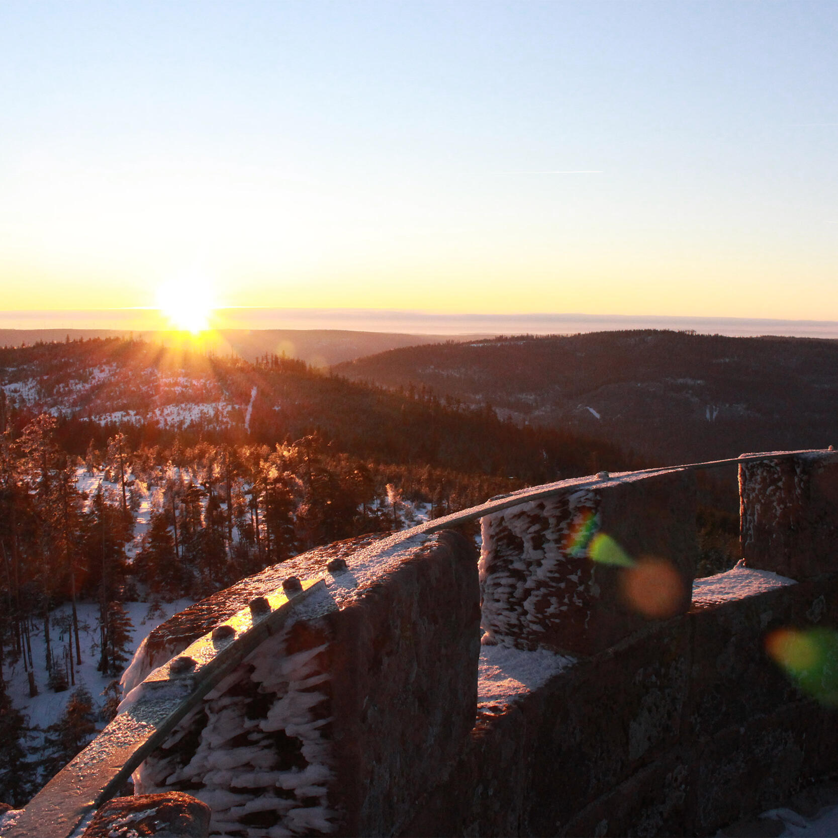 Aufnahme der Badener Höhe. - Foto: Daniel Heinert (Nationalpark Schwarzwald)