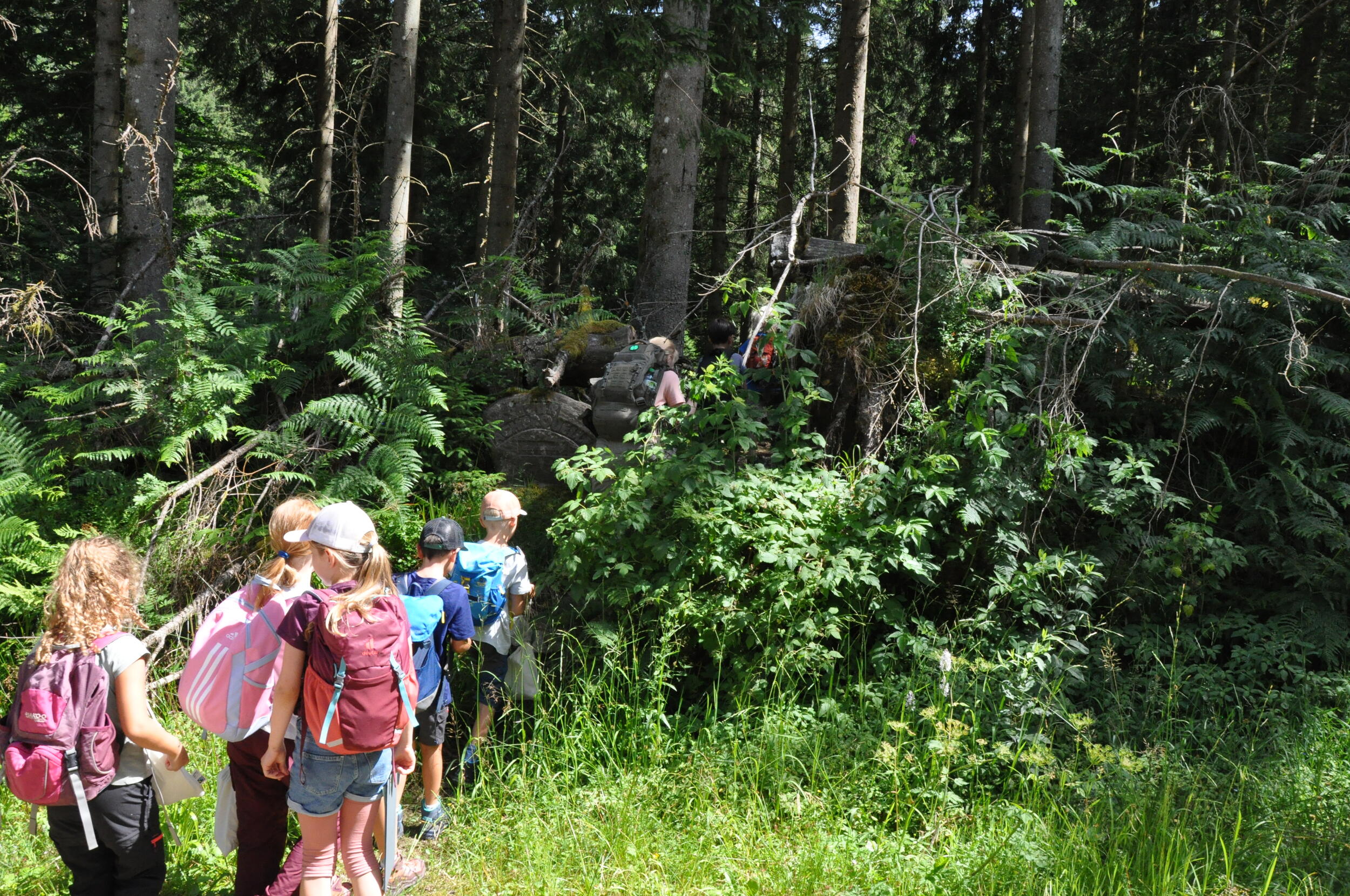 Im Wald. Einige Kinder stehen wartend hintereinander, um einen schmalen Pfad zu betreten.