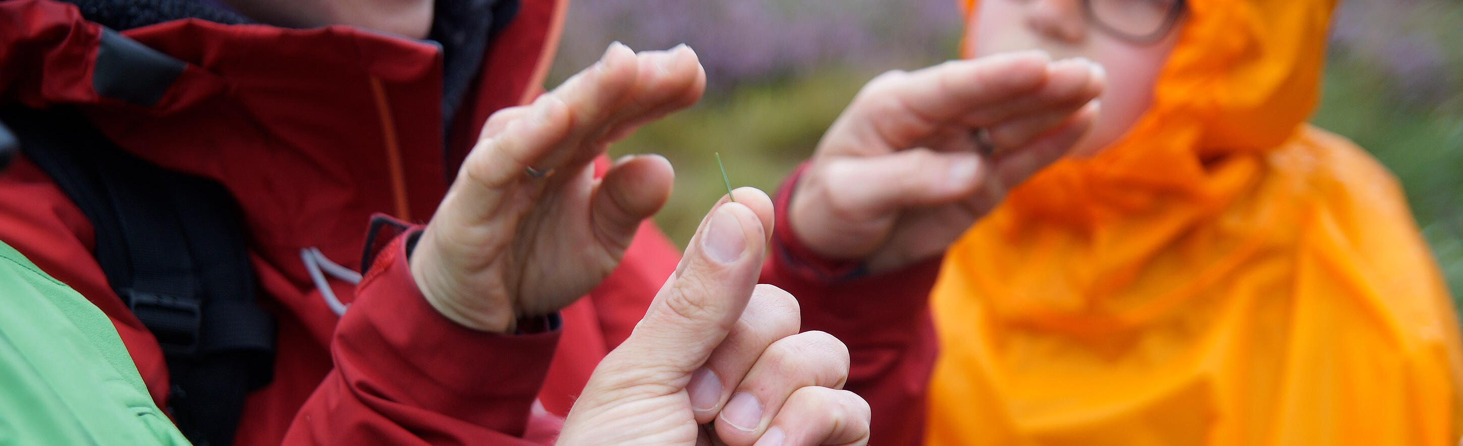 Gruppe unterhält sich in Gebärdensprache - Foto: © Daniel Müller (Nationalpark Schwarzwald)