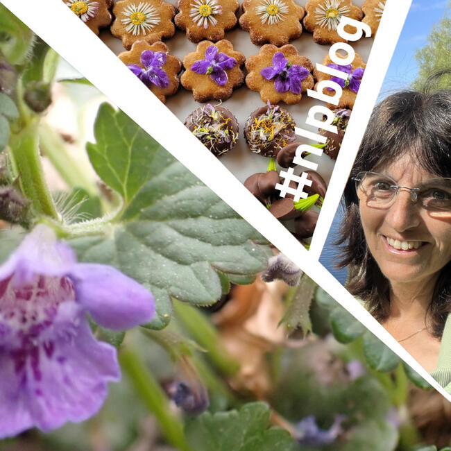 Pflanze mit lila Blüte, Frau mit Brille und braunen, mittellangen Haaren, Kekse mit Blüten