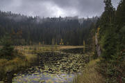 © Daniel Müller (Nationalpark Schwarzwald)