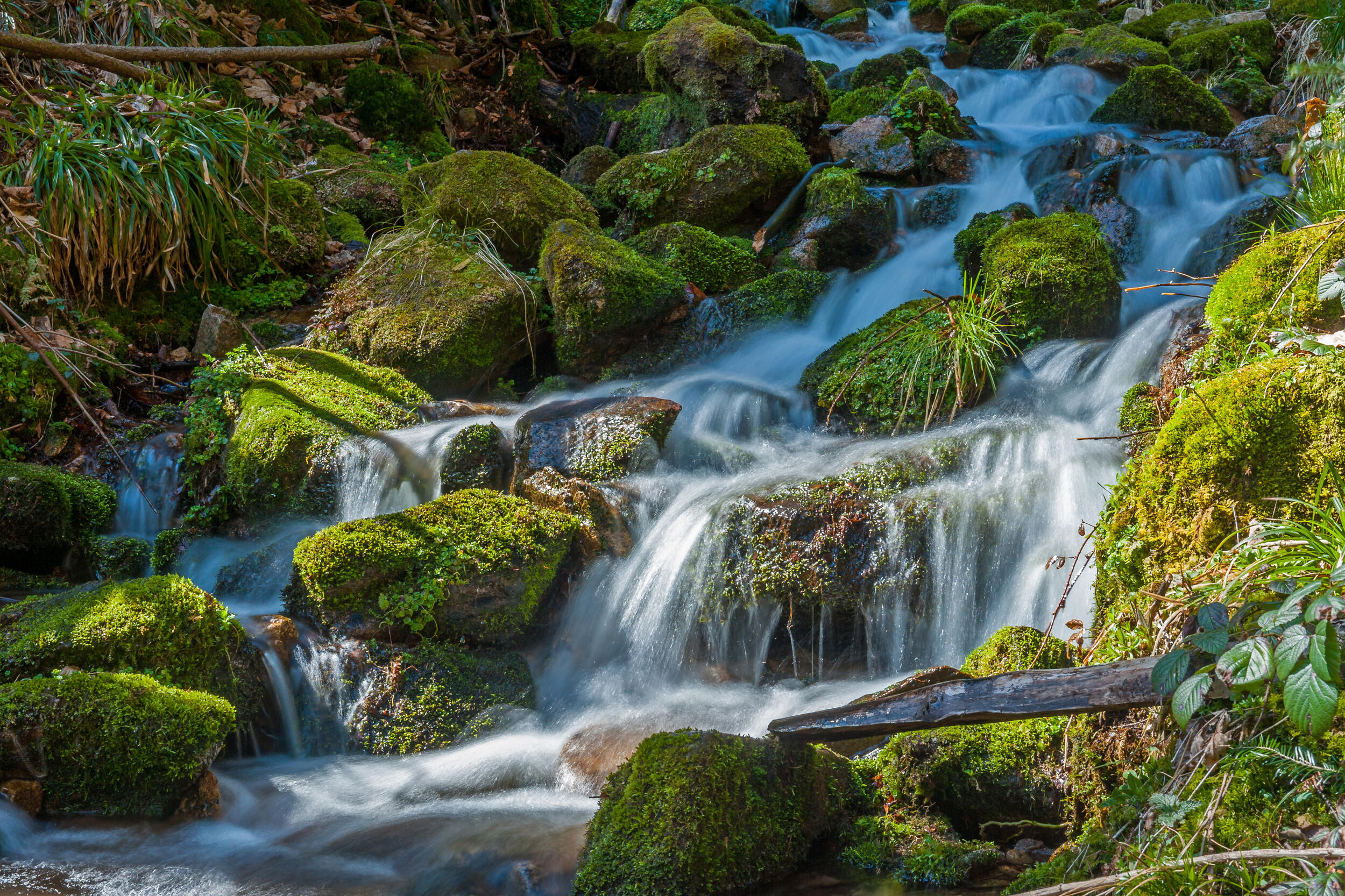 Wasserfall, Lierbach in Allerheiligen © Luis Scheuermann (Nationalpark Schwarzwald)