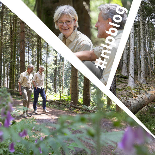 ein Mann und eine Frau spazieren im Wald, eine Frau im Gespräch mit einem Mann, Wald mit Totholz
