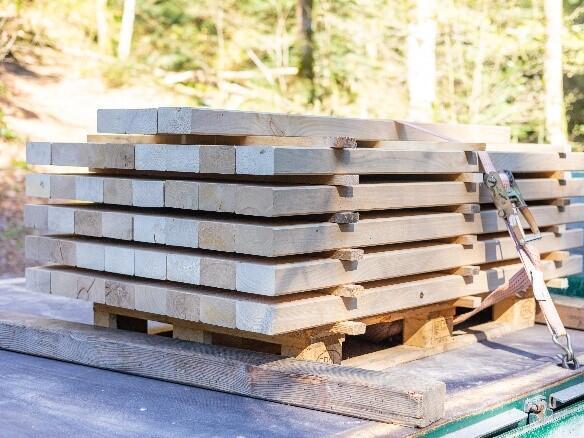 Viel Holz liegt auf einem Holzstapel vor einem Waldhintergrund. Foto: Andreas Forch