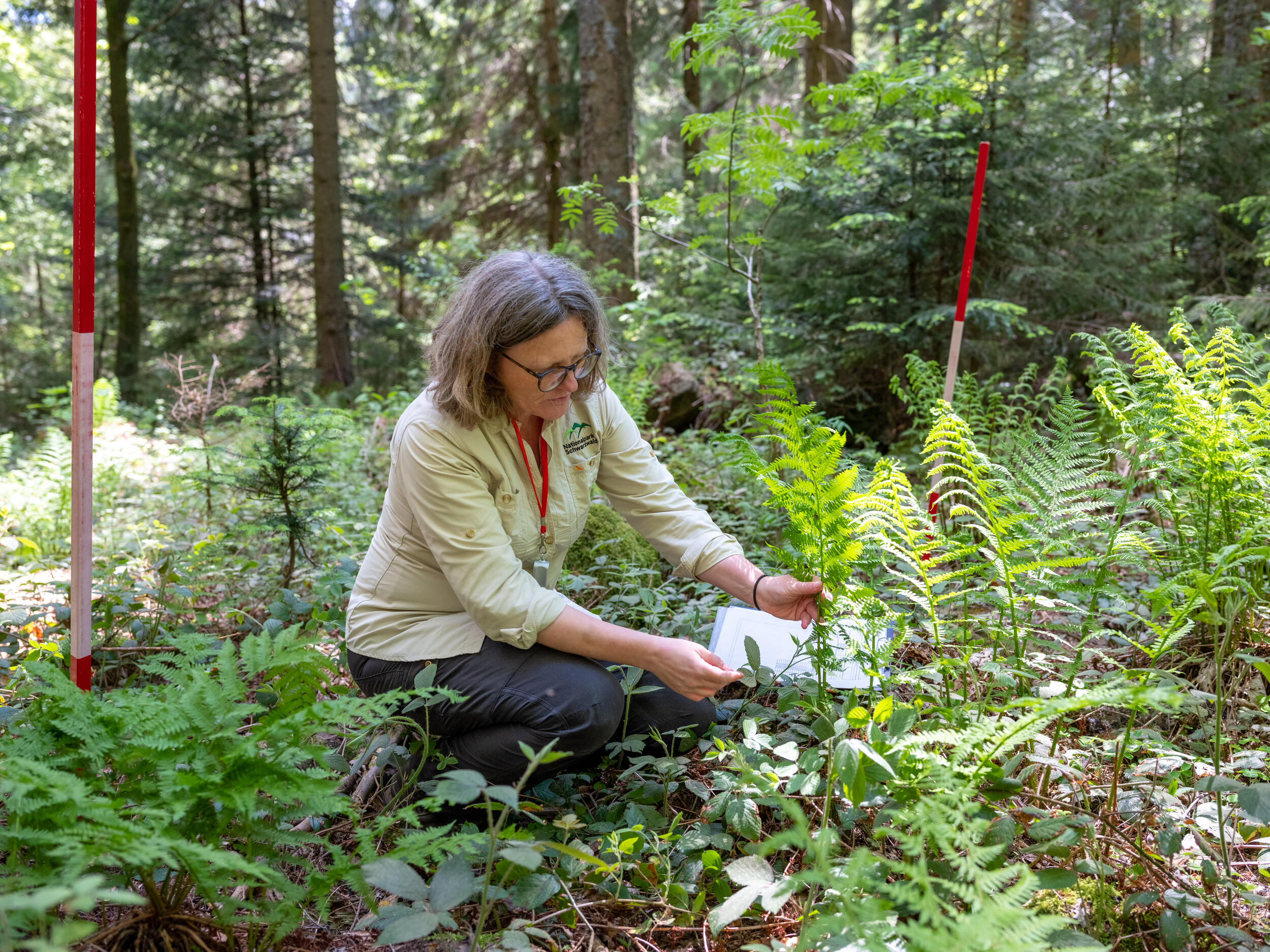 Eine Frau notiert etwas und sitzt dabei auf dem Waldboden.