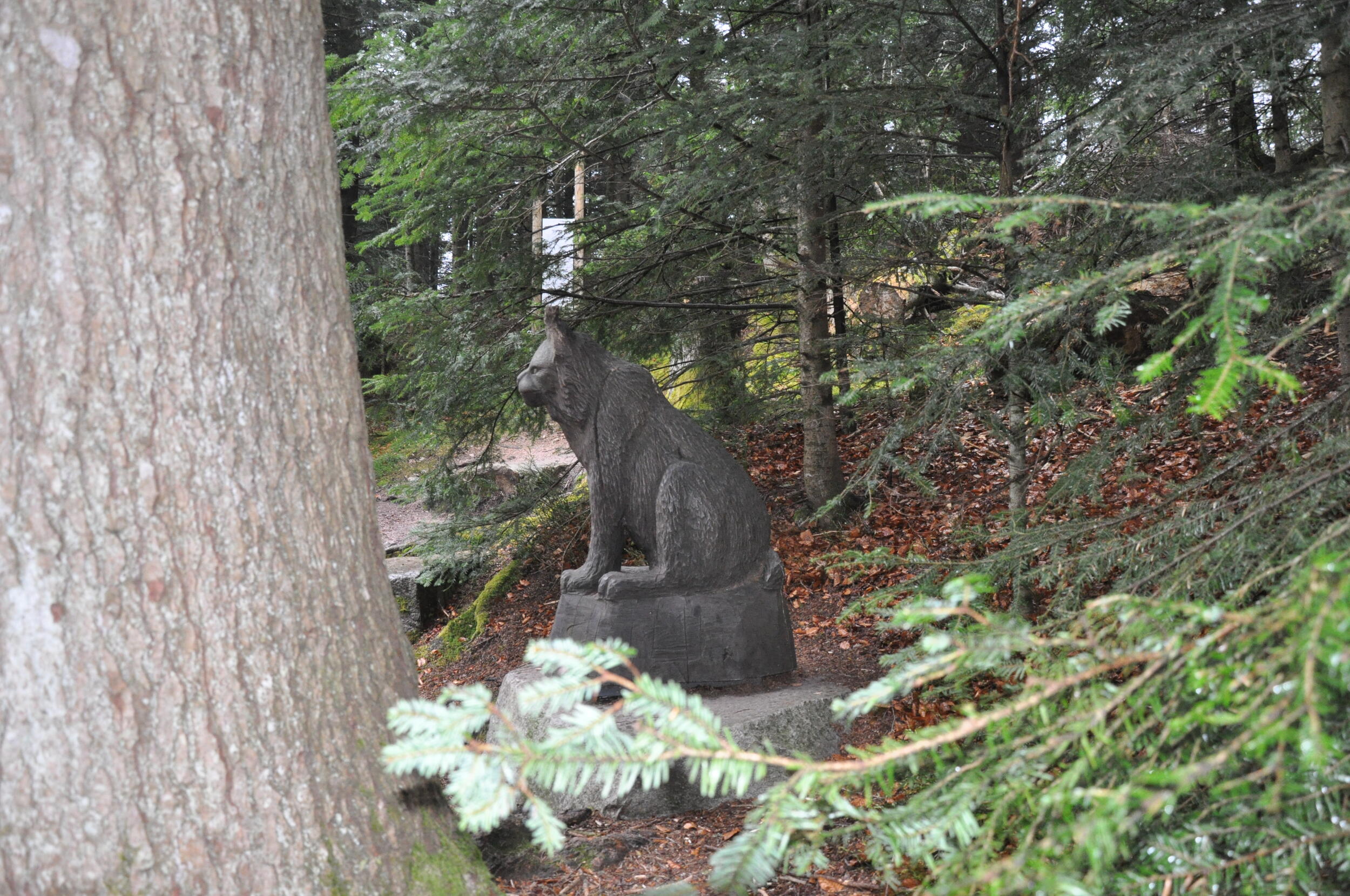 Statue eines Luchses am Rand eines Pfads