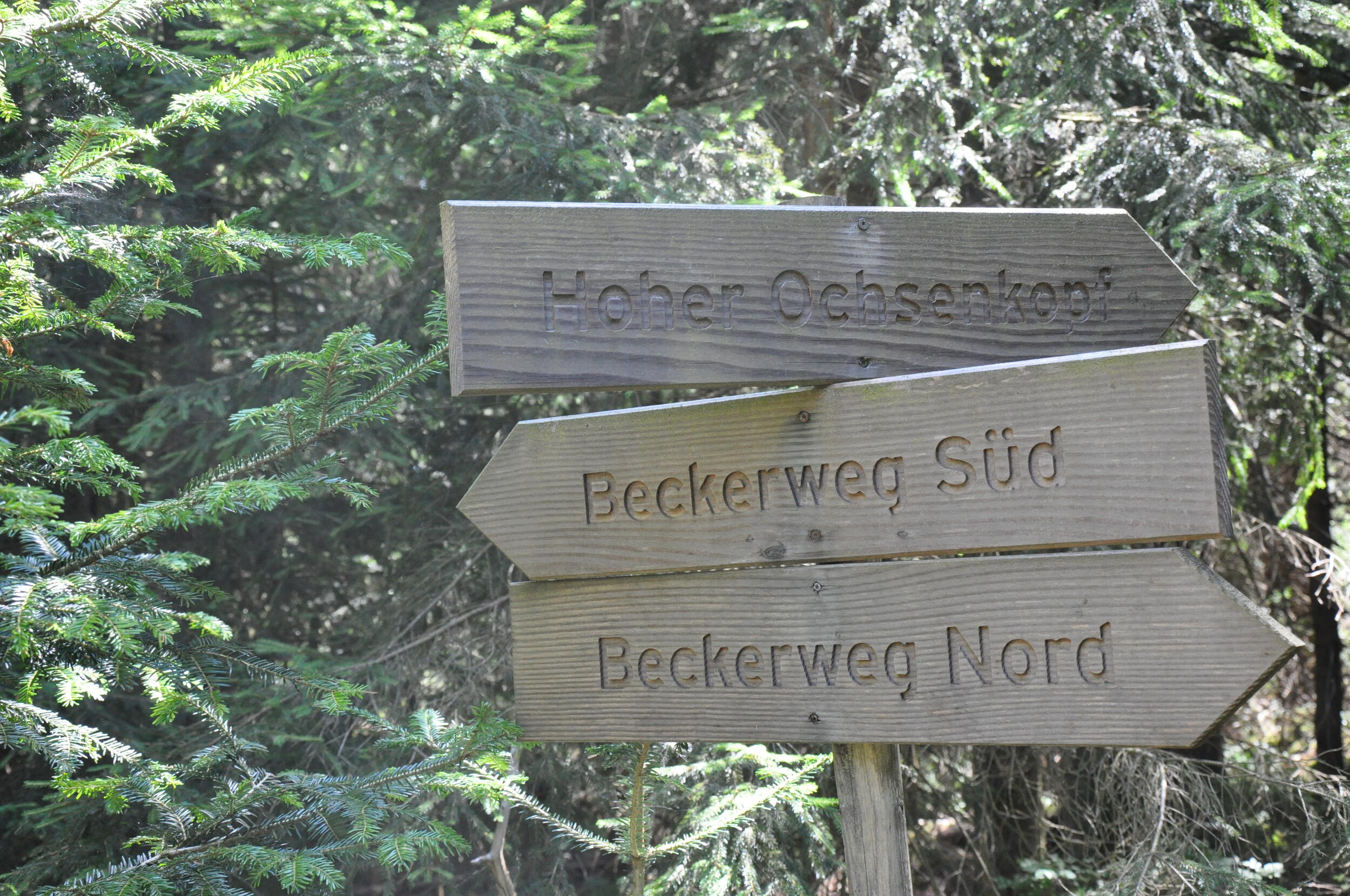 Drei hölzerne Wegweiser. Foto: Iris Lemanczyk
