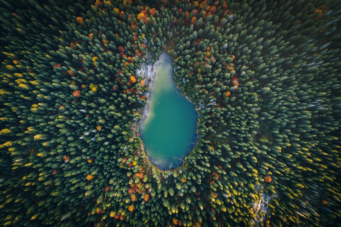 Bergauge, Montenegro, Durmitor, ©Wild Europe e.V. 