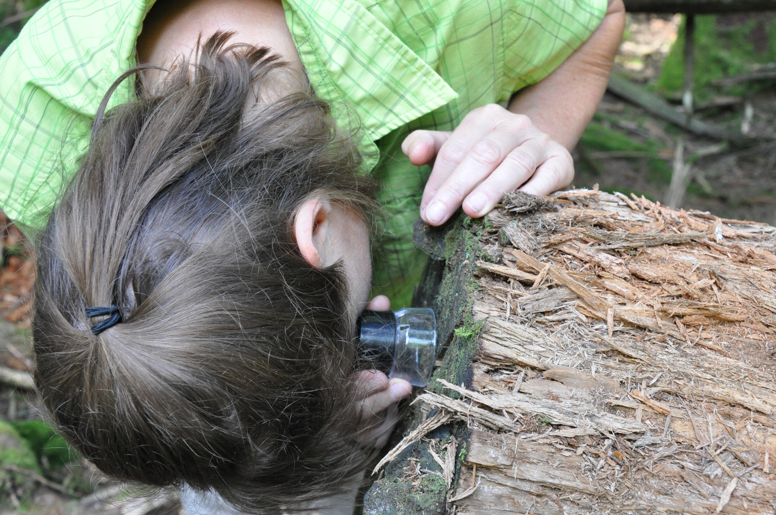 Auf der Suche nach der Wichtelwelt. © Nina Blazon Eine Frau in grünem Hemd schaut in einen Baumstamm mit einer Lupe. Foto: Nina Blazon