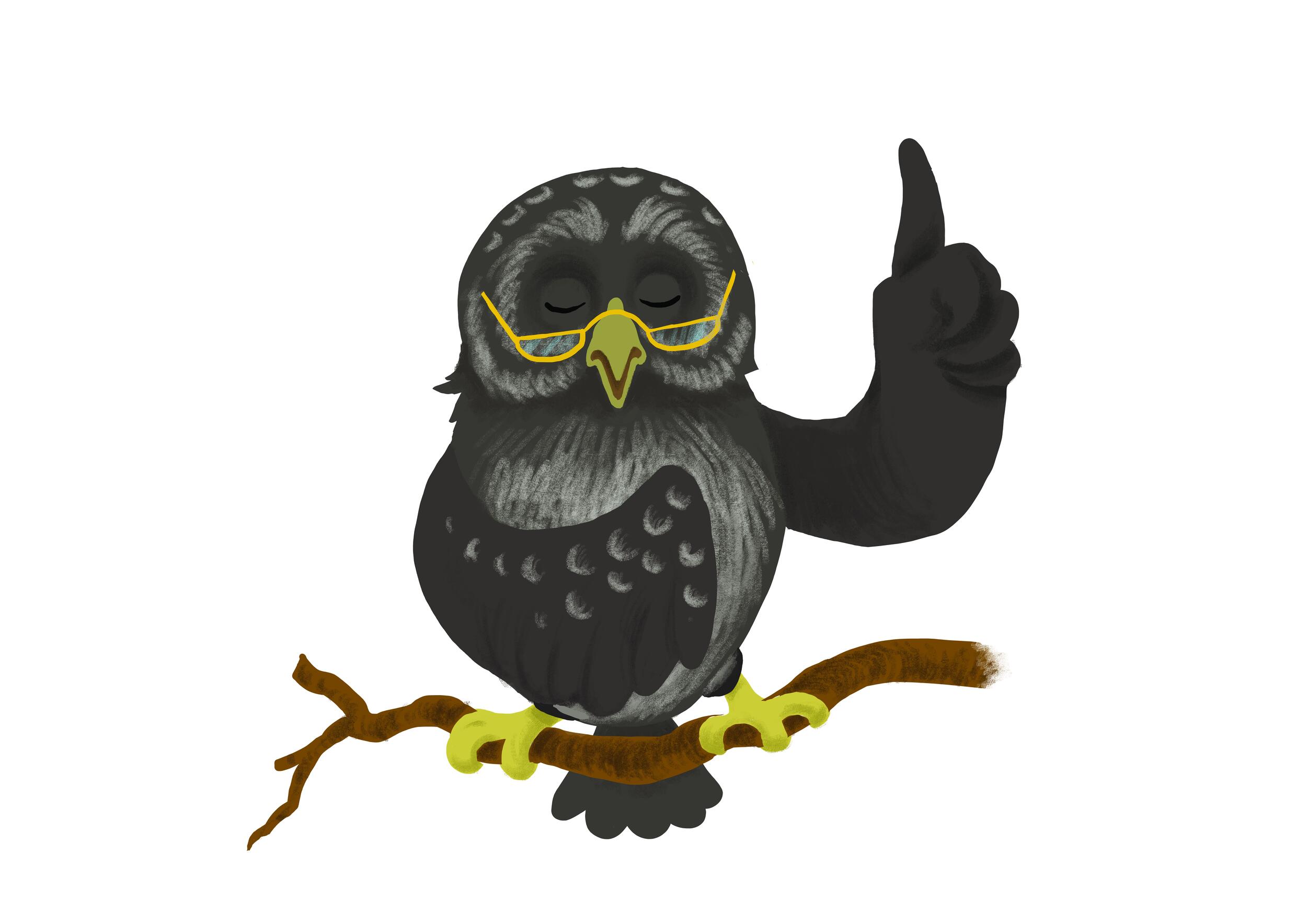 Sperlingskäuzin Tilly © Julia Ocker