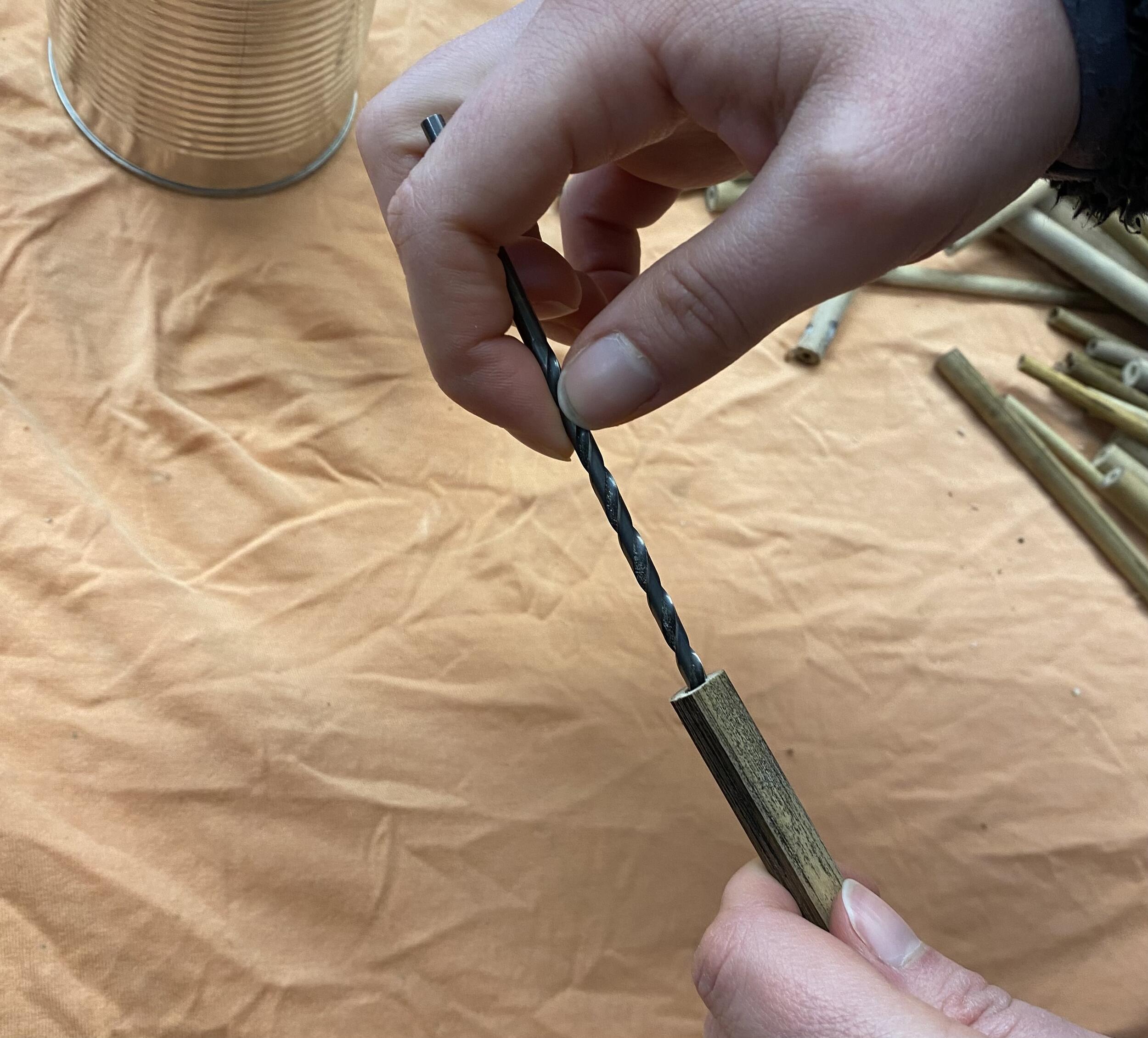 Entfernen der Tüllen © Theresa Römpp (Nationalpark Schwarzwald)