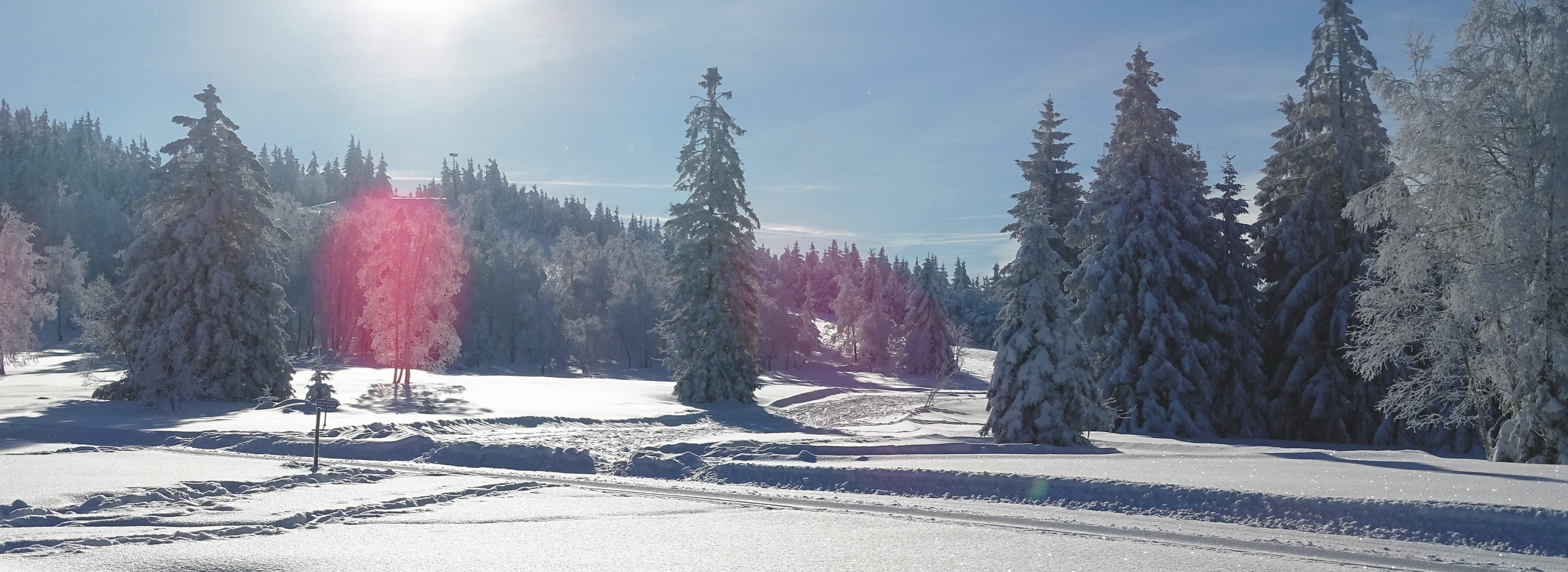 Eine offene Grindenlandschaft ist mit dickem Schnee bedeckt