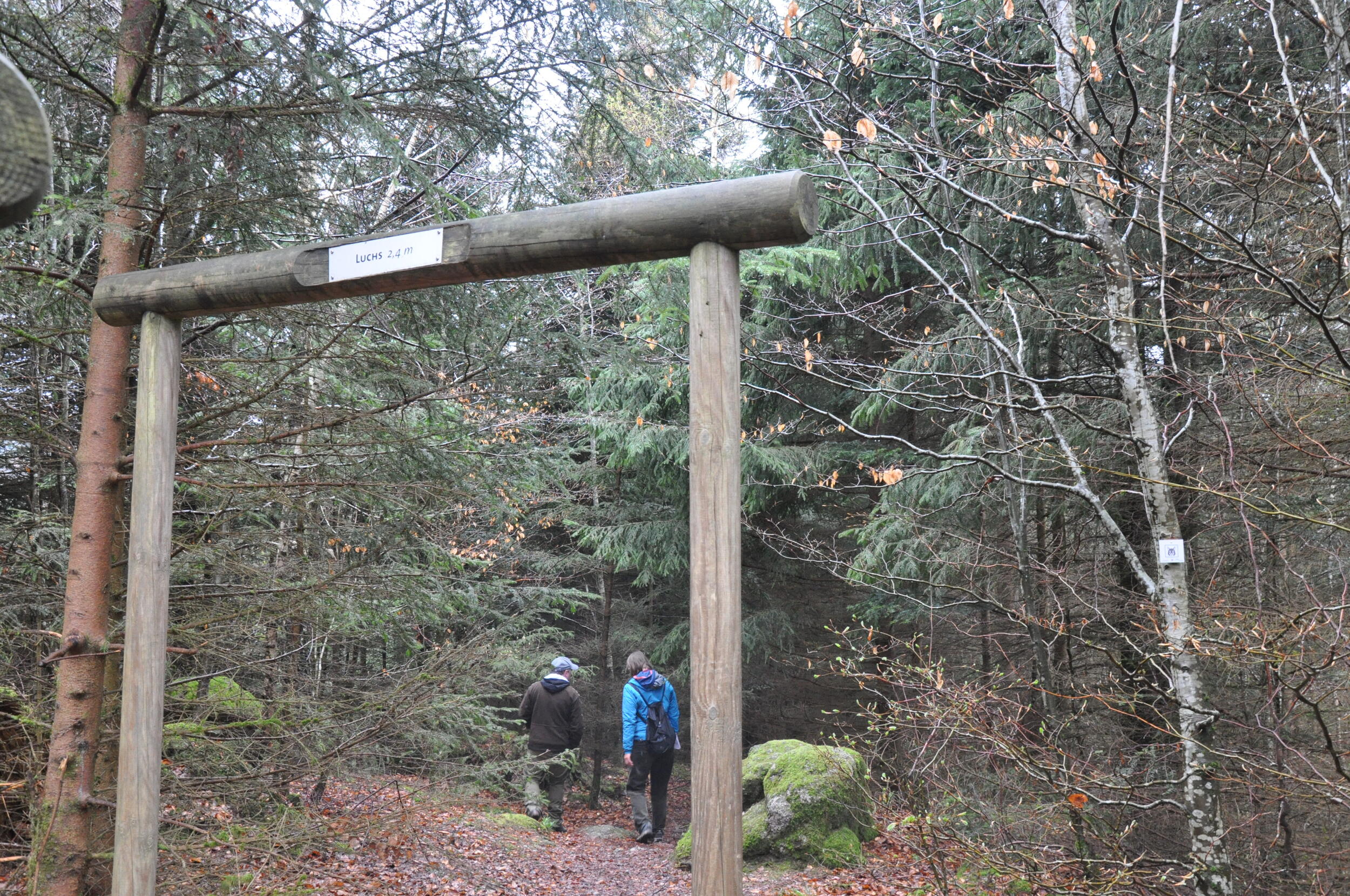 Ein Tor aus Holzstämmen, an der oberen Kante die Aufschrift "Luchs 2,4 Meter"
