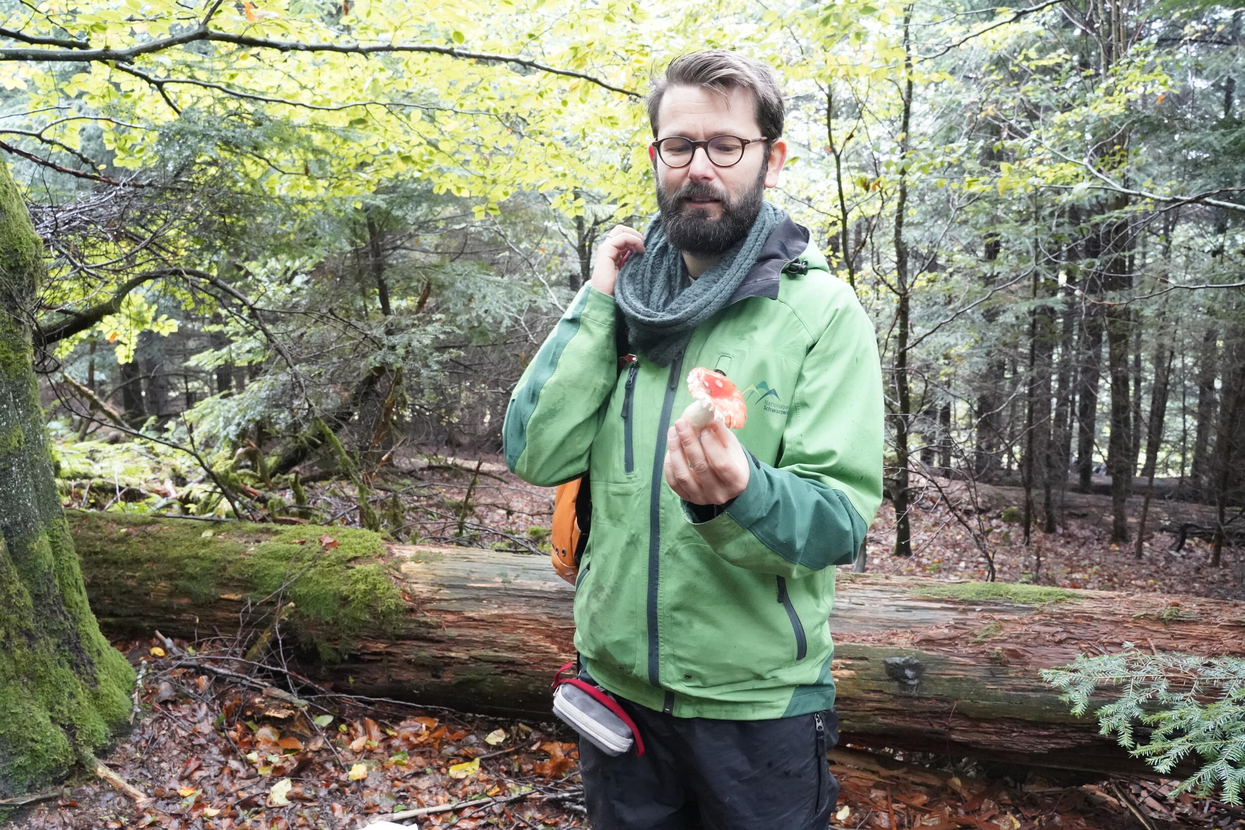 Ein Mann in grüner Nationalparkjacke steht vor einem umgestürzten Baumstamm im Nationalpark. @ Judith Wildt Bastos