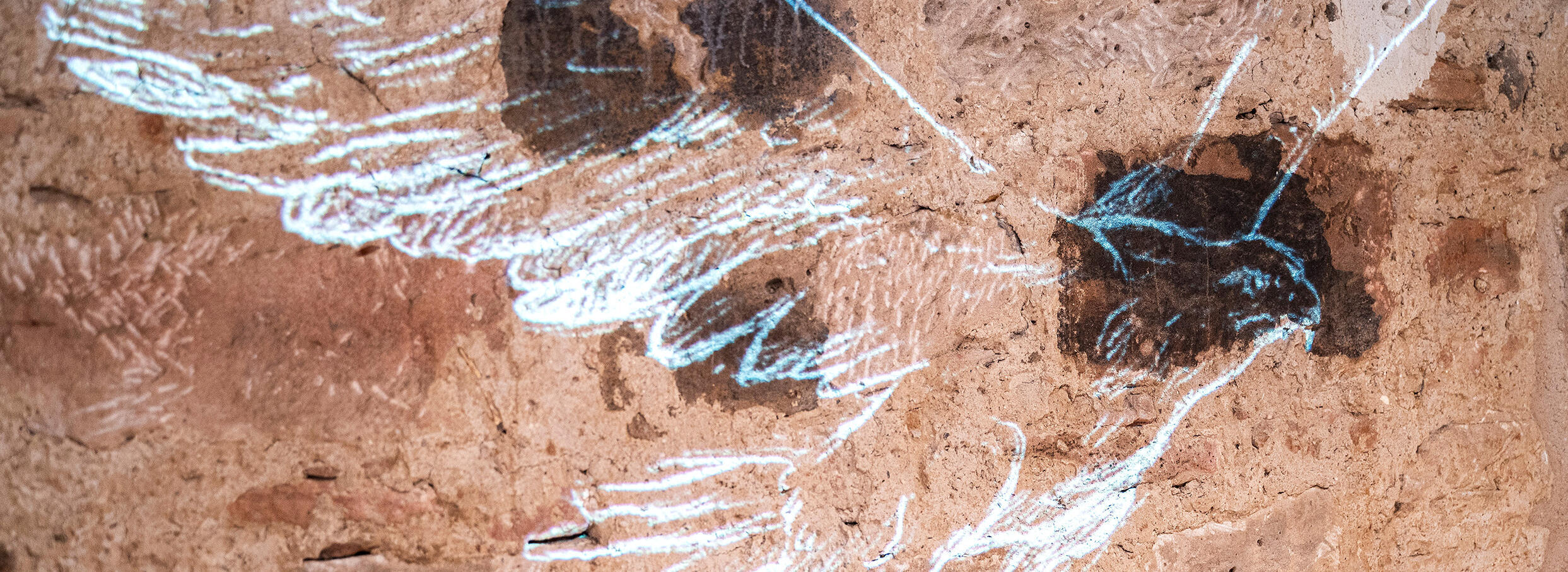 Projezierter Adler auf einer Buntsandsteinwand